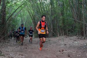 BIB: 3537, 369
                            <button type="button" onclick="openModal(4116113)" class="btn btn-primary btn-sm float-right btn-popup" data-toggle="modal" data-target=".modal-high-quality">
                        <i class="fas fa-shopping-cart"></i> Add to Cart
                    </button>
                                            <button type="button" onclick="isThisMe(4116113, true)" class="btn btn-success btn-sm float-right btn-popup btn-isme hidden" data-toggle="tooltip" data-placement="bottom" title="นี่คือรูปของคุณใช่ไหม คลิกที่นี่เพื่อเอาเข้าอัลบั้ม">
                        <i class="fas fa-plus"></i> Add to album
                    </button>
                    <button type="button" onclick="isThisMe(4116113, false)" class="btn btn-warning btn-sm float-right btn-popup btn-isnotme hidden">
                        <i class="fas fa-ban"></i> Remove from album
                    </button>